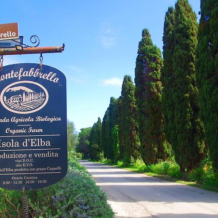 Agriturismo Montefabbrello Magazzini  Exterior foto