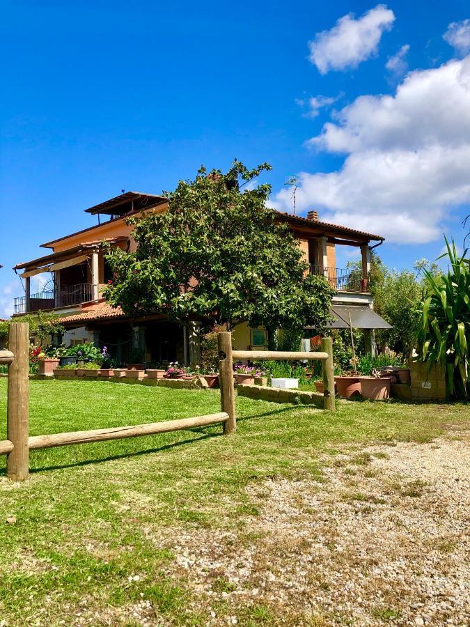 Agriturismo Montefabbrello Magazzini  Exterior foto