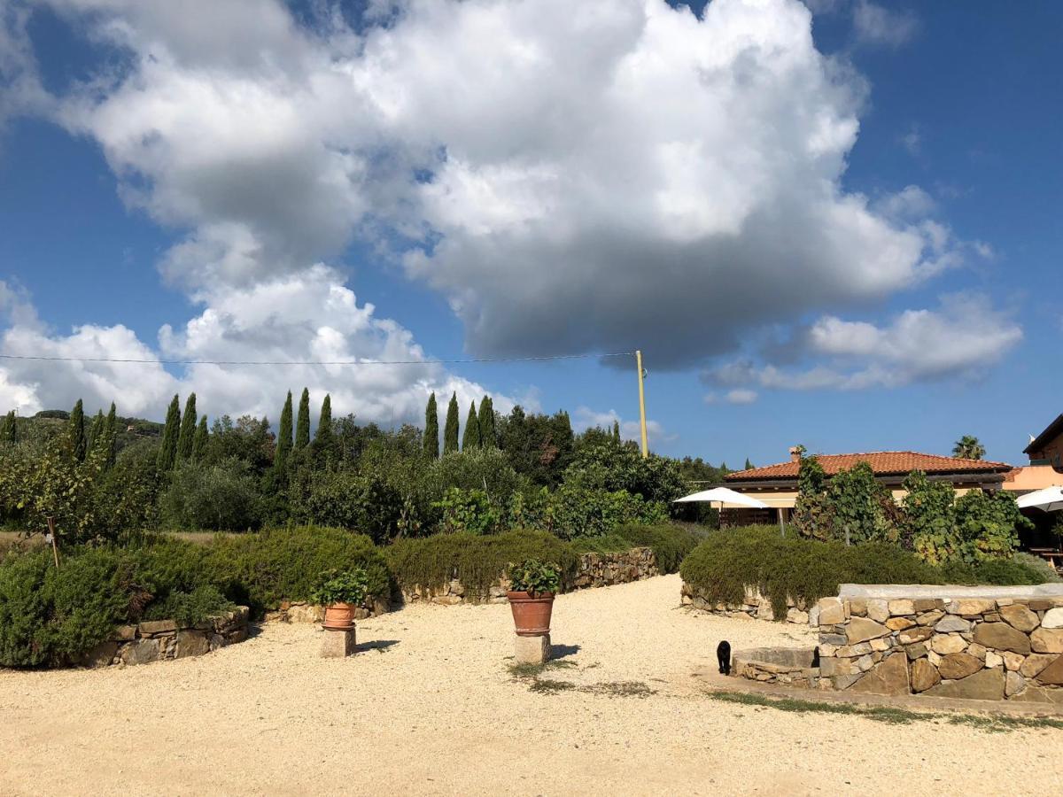 Agriturismo Montefabbrello Magazzini  Exterior foto