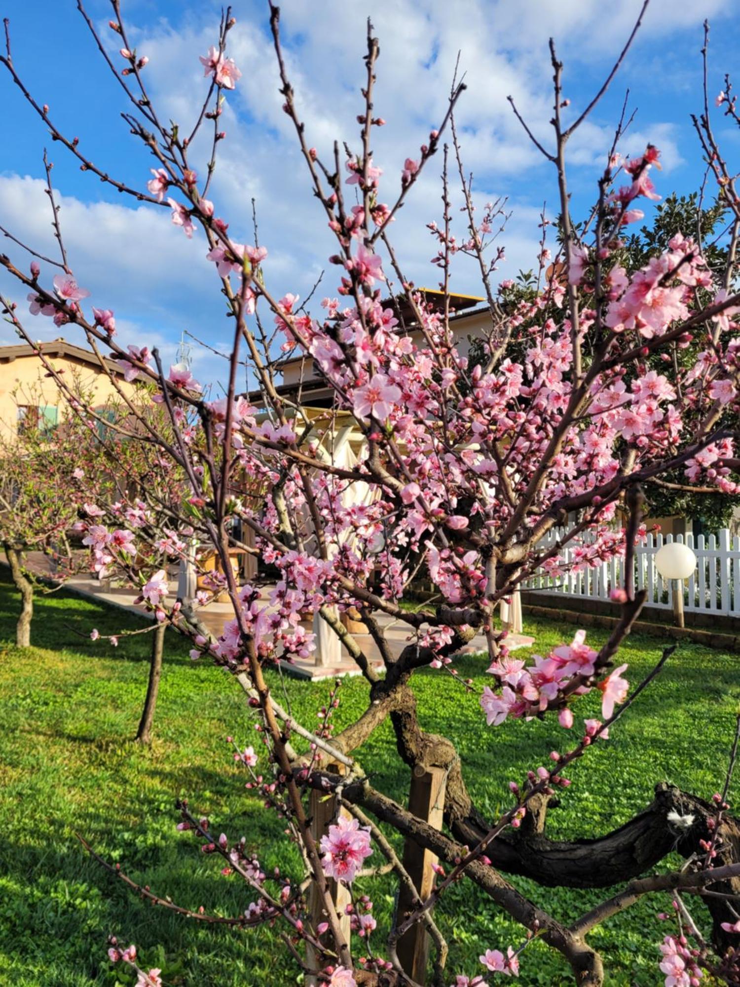 Agriturismo Montefabbrello Magazzini  Exterior foto