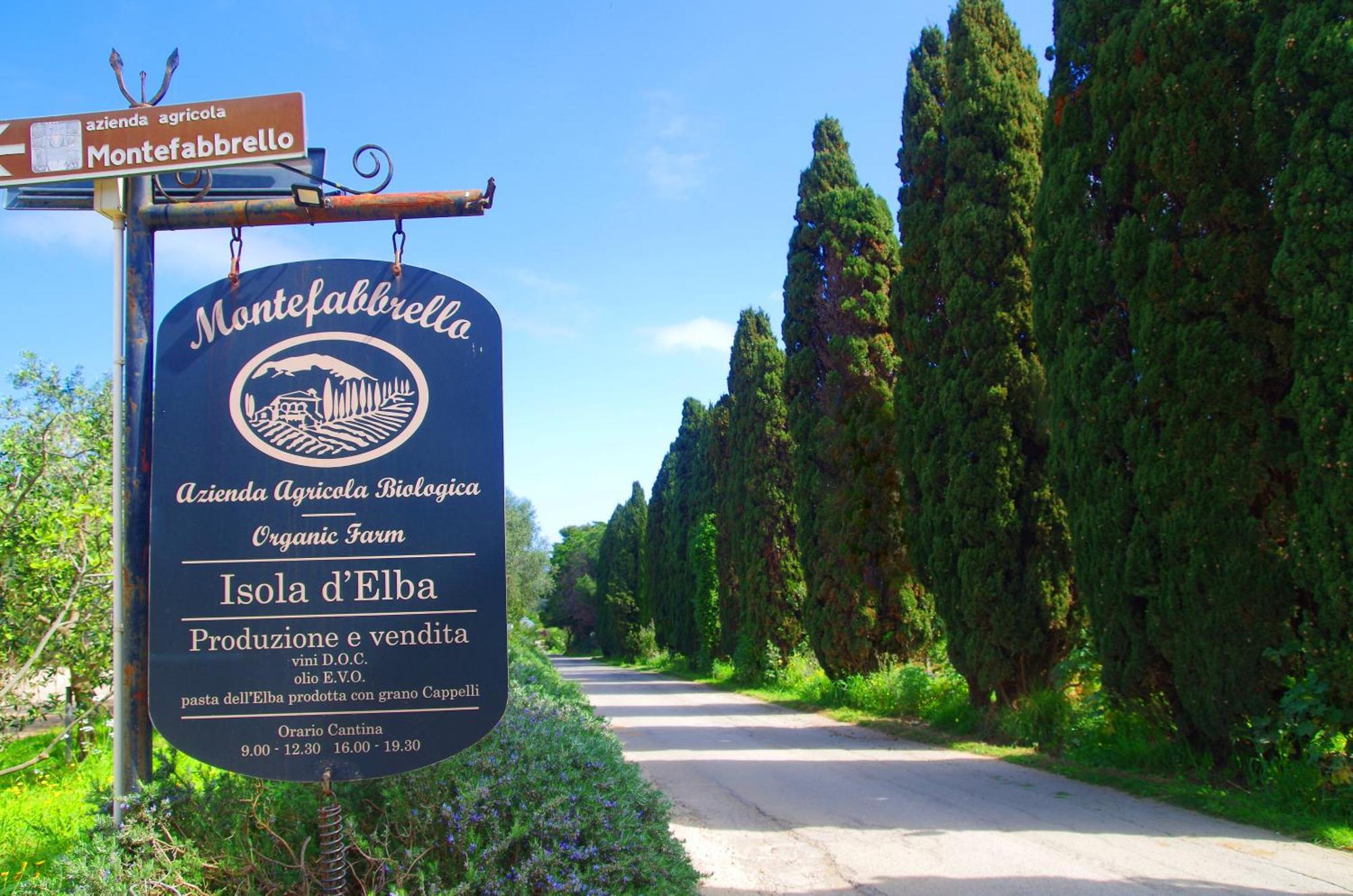 Agriturismo Montefabbrello Magazzini  Exterior foto